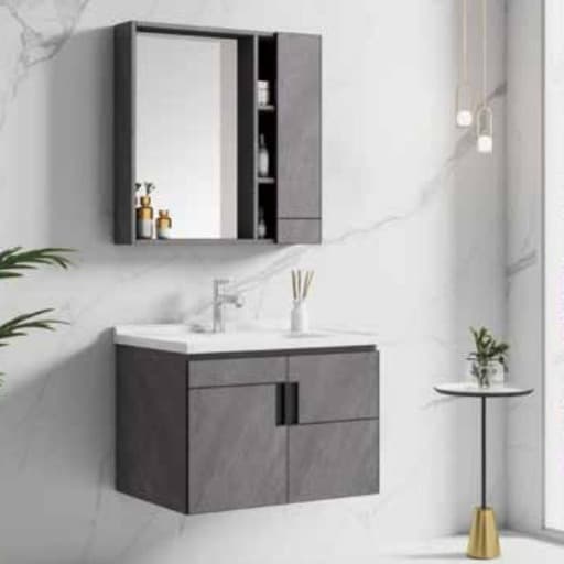 Hand Wash Basin with Storage Cabinet