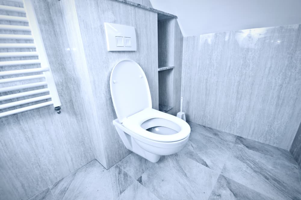 Blocked toilet plumber in Nairobi, Kenya